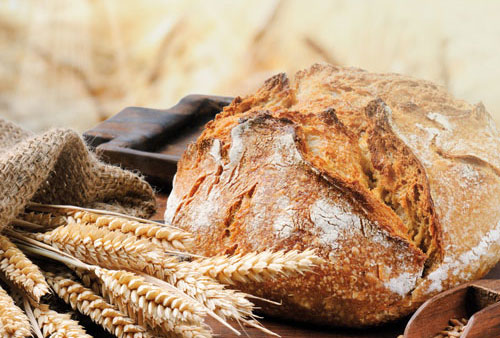 Biobrot - BioBrot